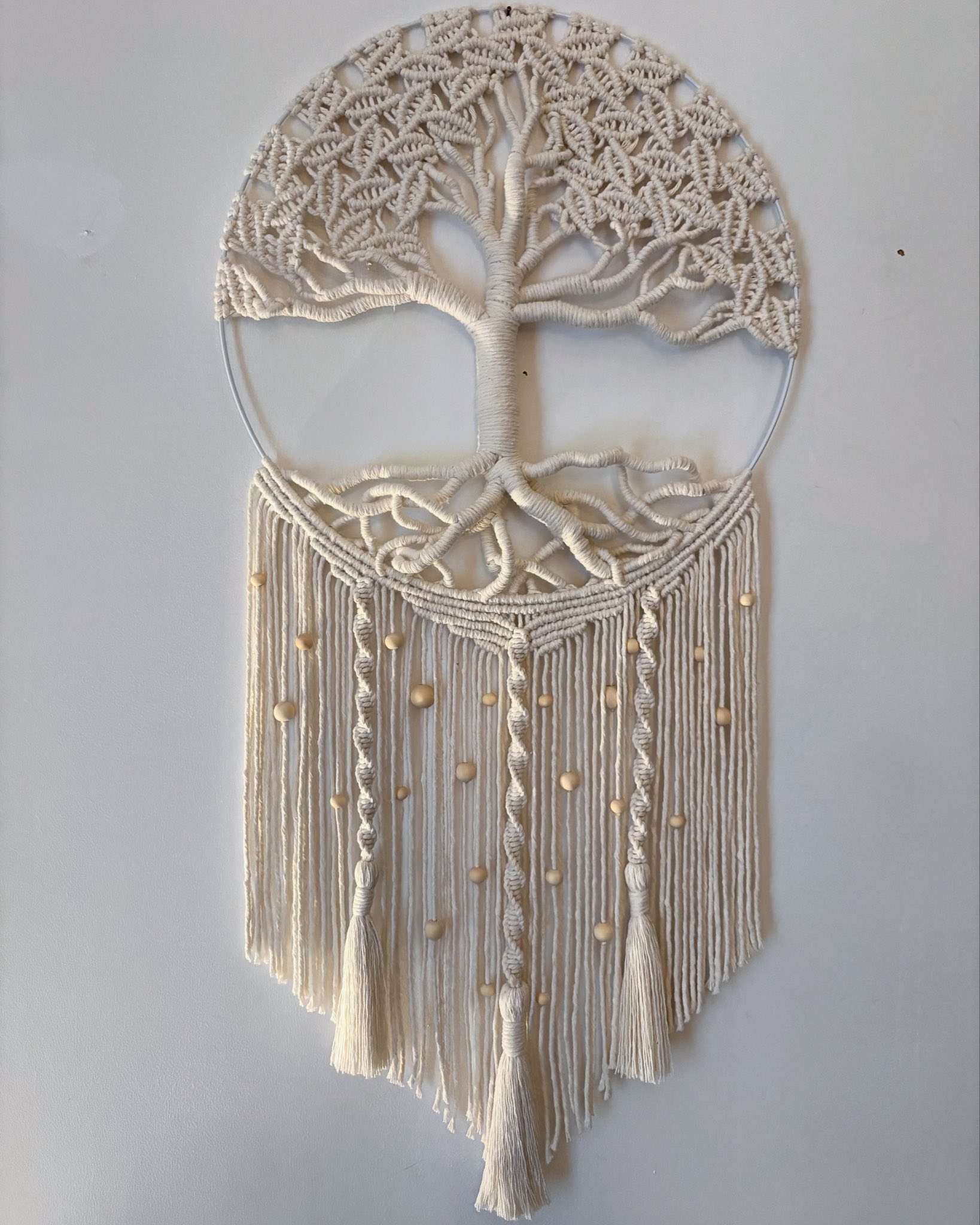 623421171 122174630366792207 6846068691515800422 n