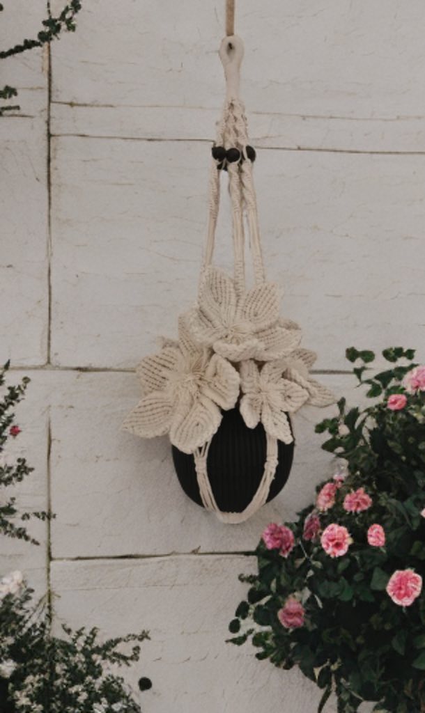 623859842 122174643794792207 510146374766832993 n